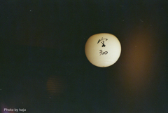 空知