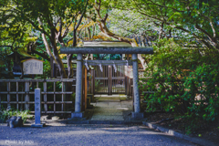 小さい鳥居
