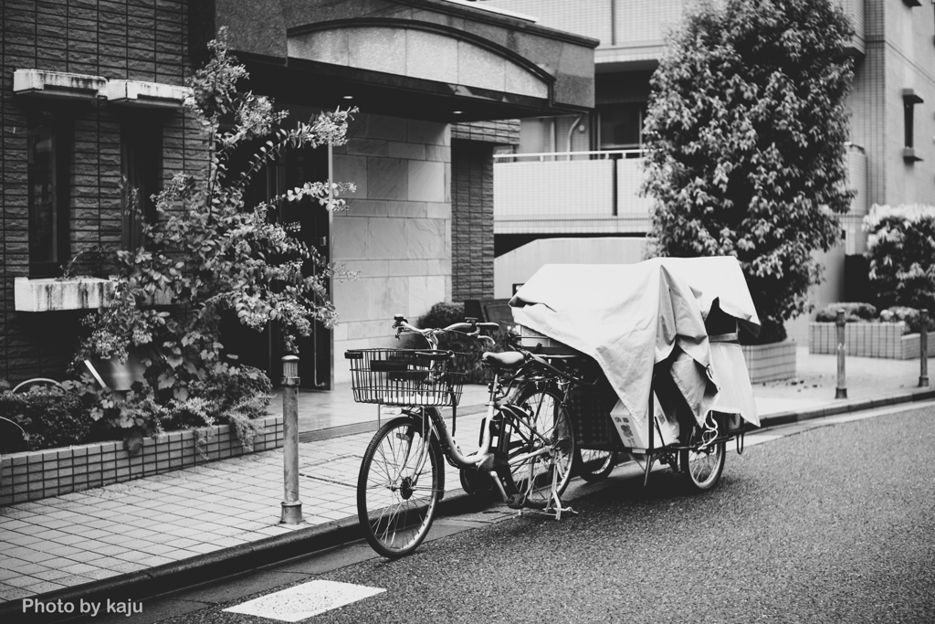 エコ便