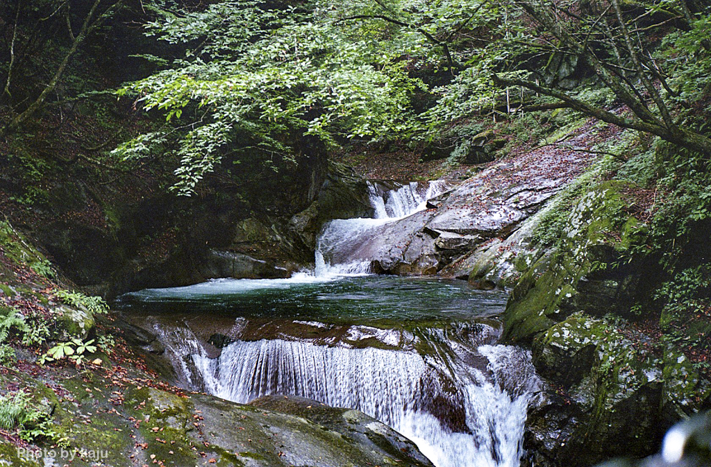 Fall