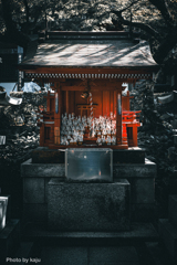 狐