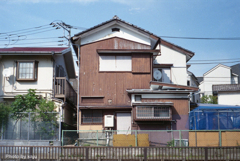 木目