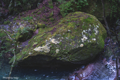 フグ岩