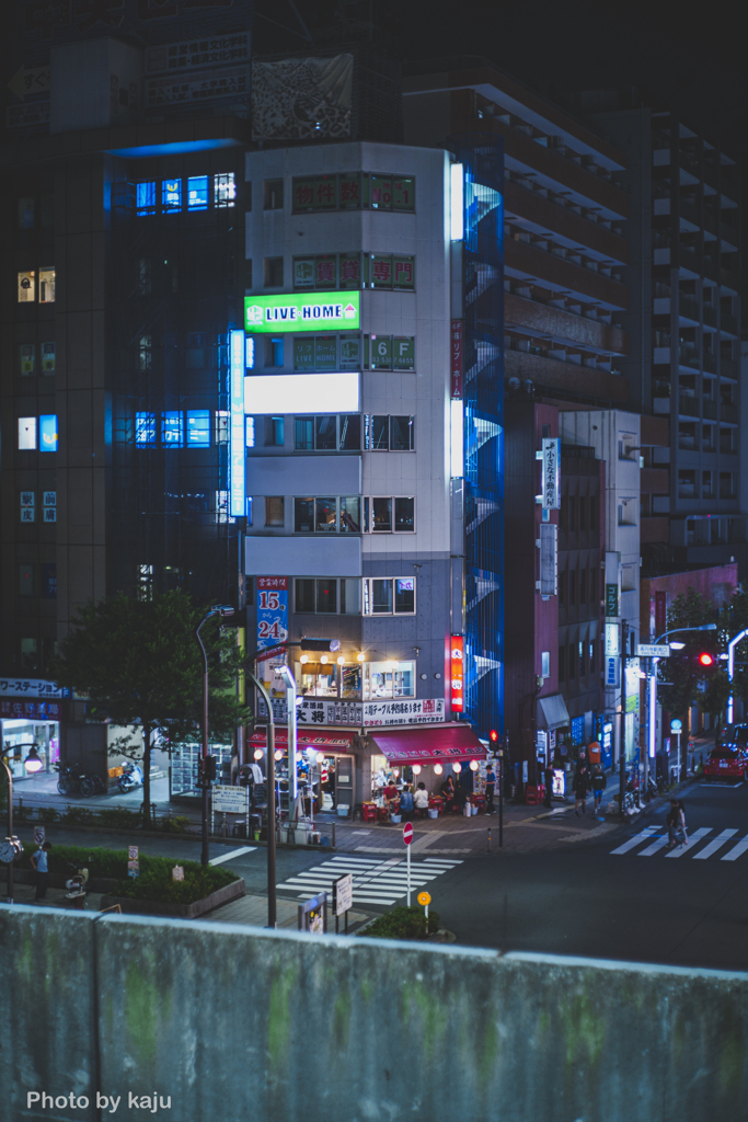 やきとり大将