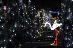 イルミネーション