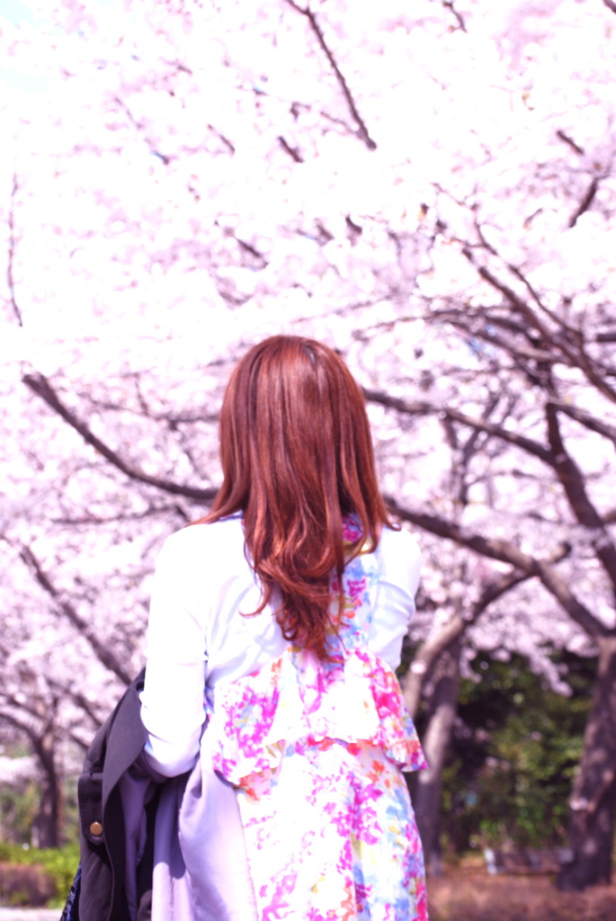 春がきた春がきた此処にきた