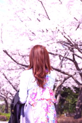 春がきた春がきた此処にきた