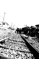 電車？汽車だろ普通