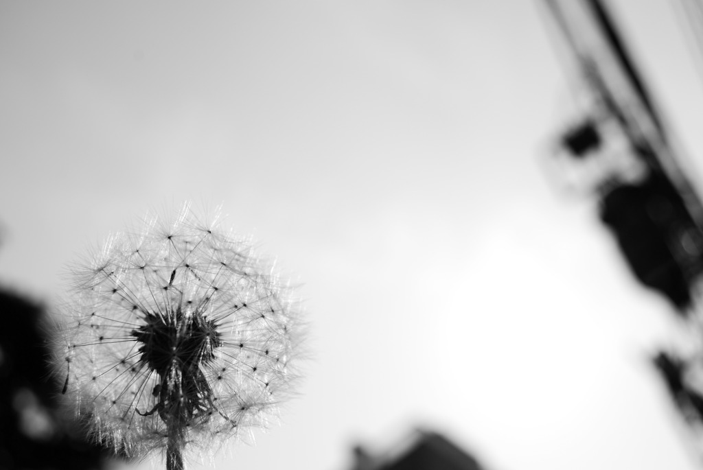 空の亀裂。人の繋がり。