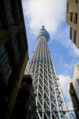 根元から