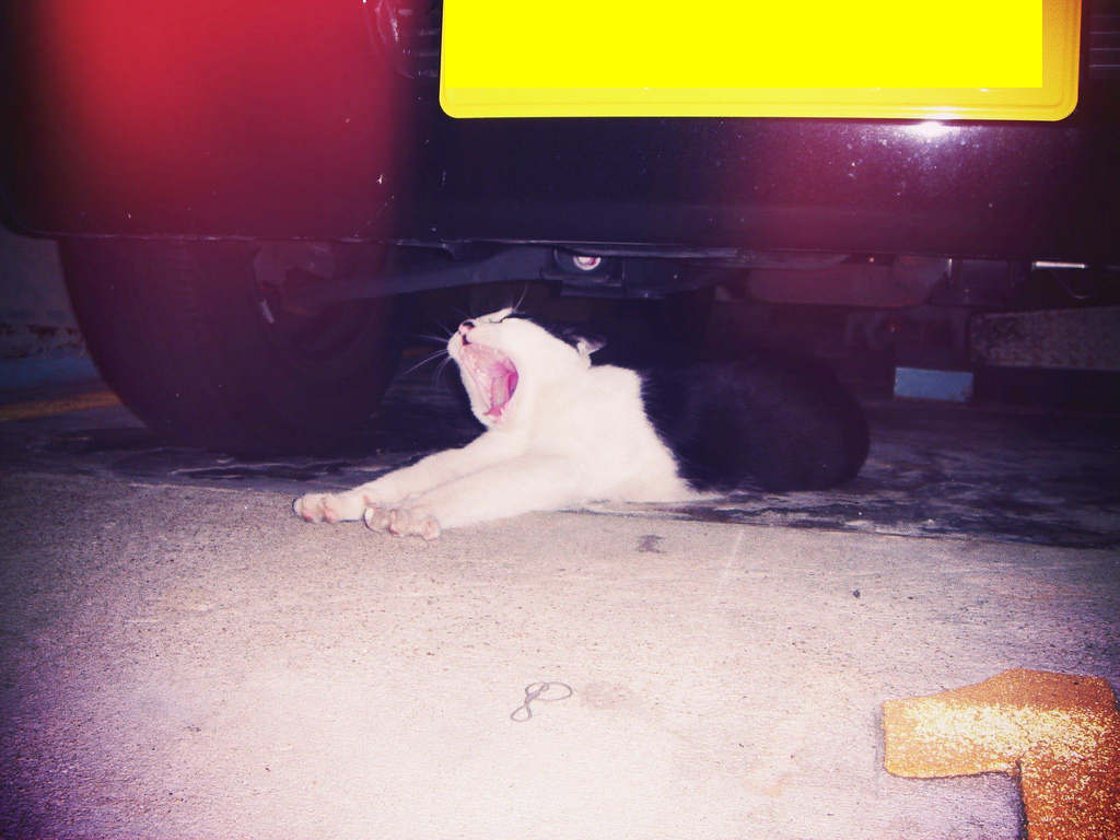 Faaaaaaaaaaaaaaaaa!!!!!