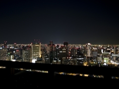 屋上庭園