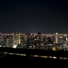 屋上庭園