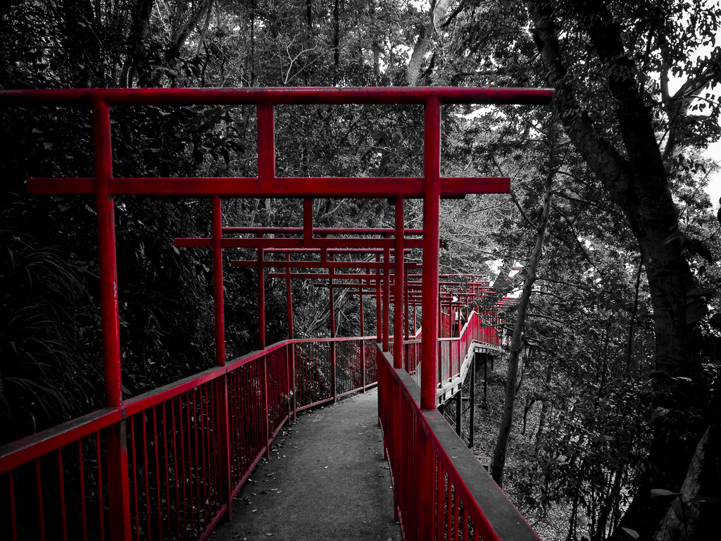 紅