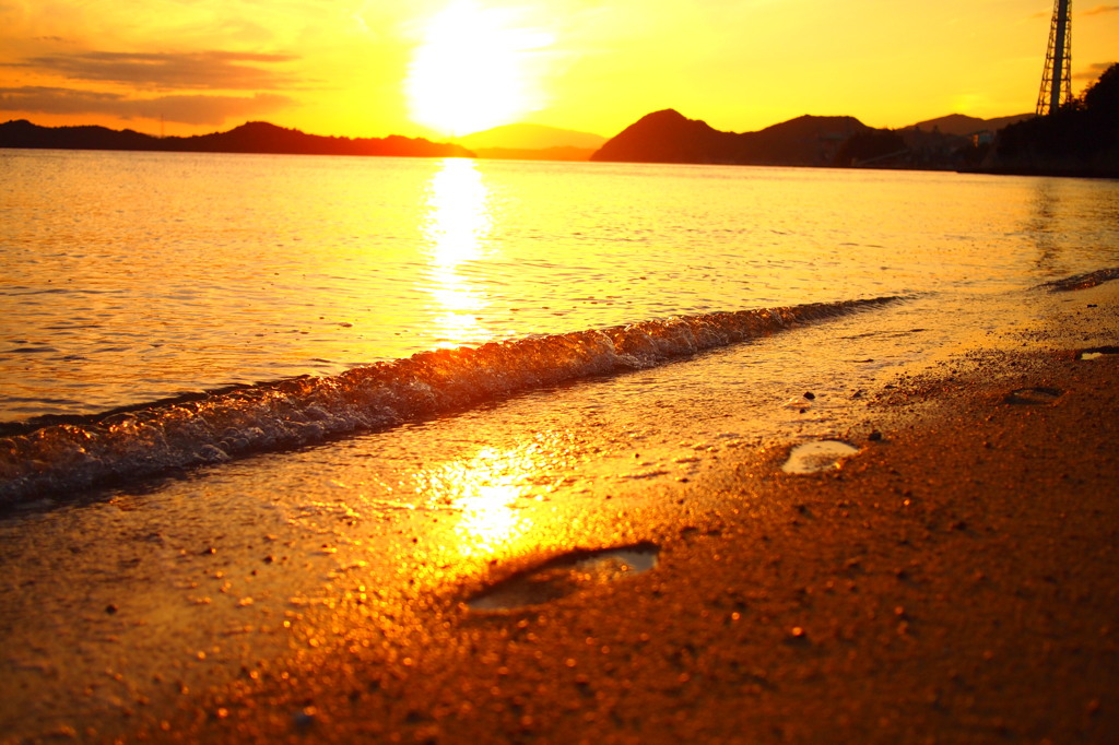 夕日４　お散歩