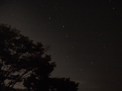 初投稿です