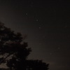 初投稿です