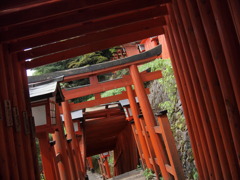 どこまでも鳥居鳥居鳥居