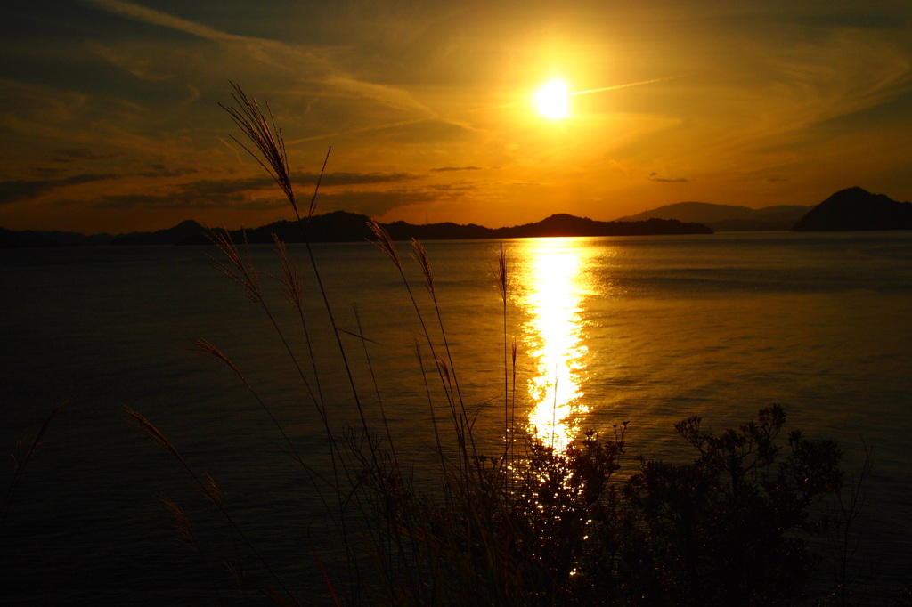 夕日２