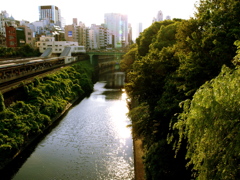 hijiri basi