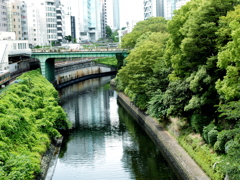 hijiri bash