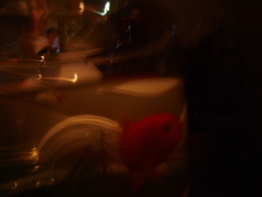 P7233326