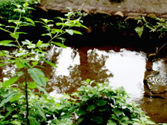 P6192953