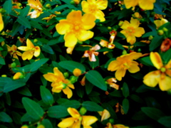 P6152596