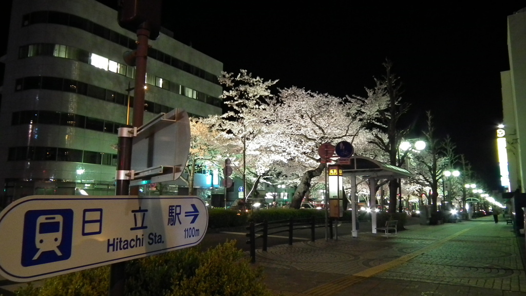 日立の夜桜