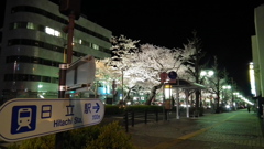 日立の夜桜