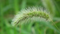 Sansaku