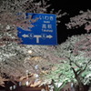 日立の夜桜
