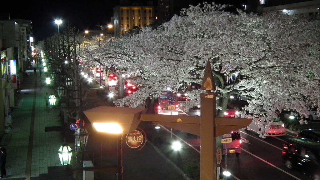 日立の夜桜