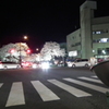 日立の夜桜
