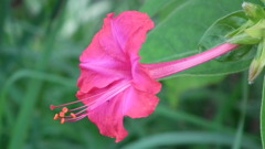 Sansaku