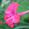 Sansaku