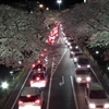 日立の夜桜