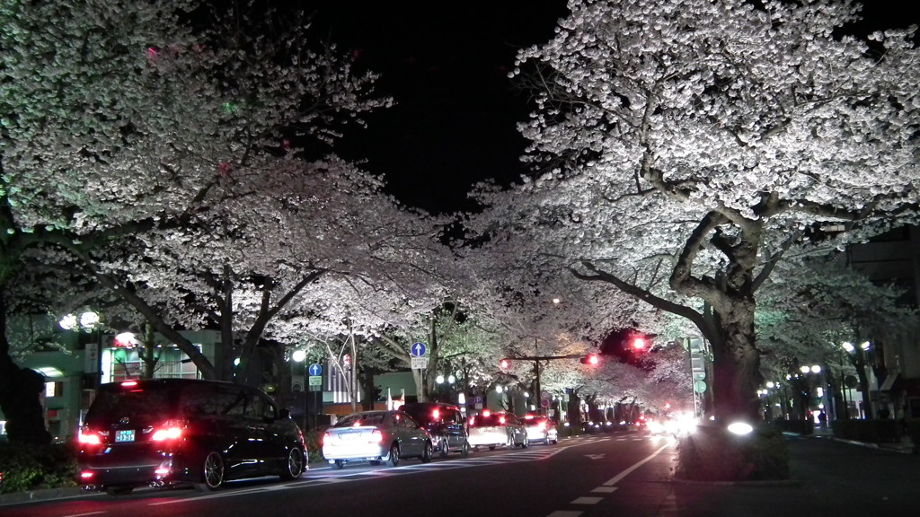 日立の夜桜