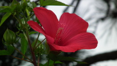 Sansaku