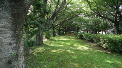 Sansaku
