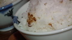 2015.12.20那須