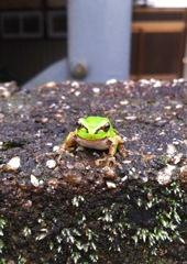 ふふふ