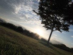 公園にて