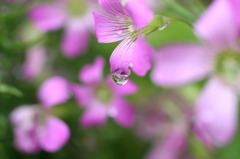 雨のちくもり