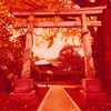 Art of Japan