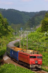 綺麗なローピン。　4001レ　寝台特急日本海