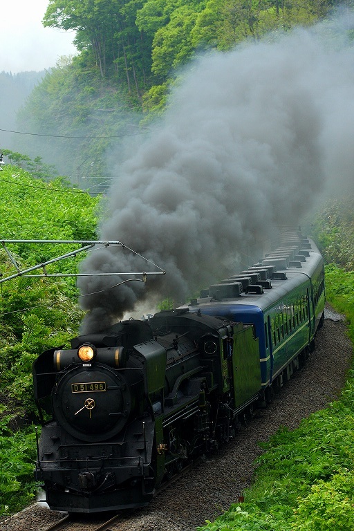 一生懸命、坂を登ります。試9652レ　D51-498＋12系6B
