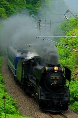 下り坂でも煙と汽笛を頂き。　試9641レ　D51-498＋12系6B