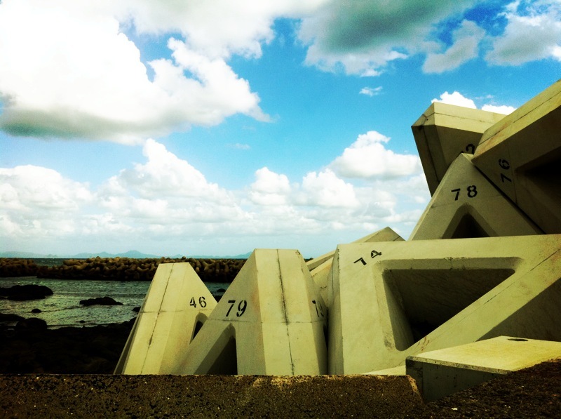 tetrapod