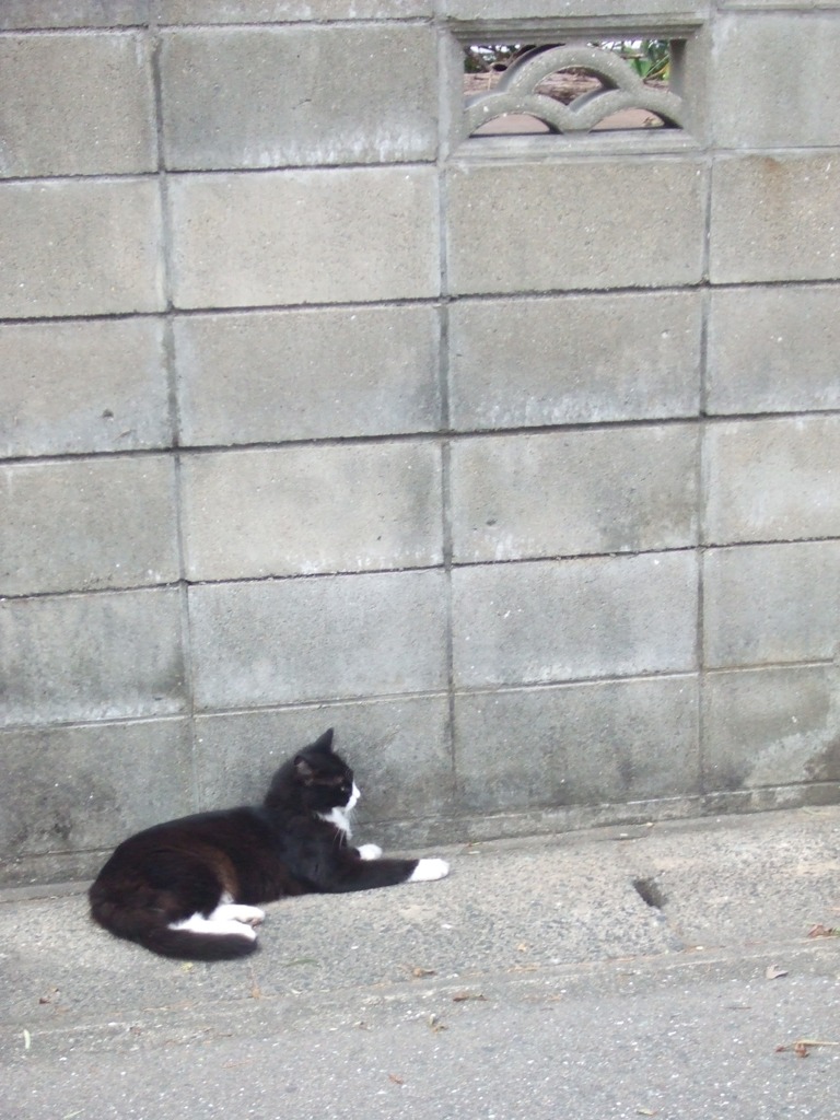 neco*